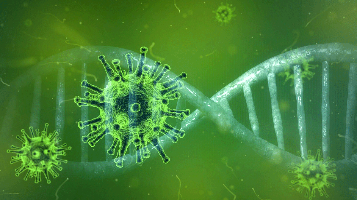 Coronavirus Groepspraktijk Lievekamp